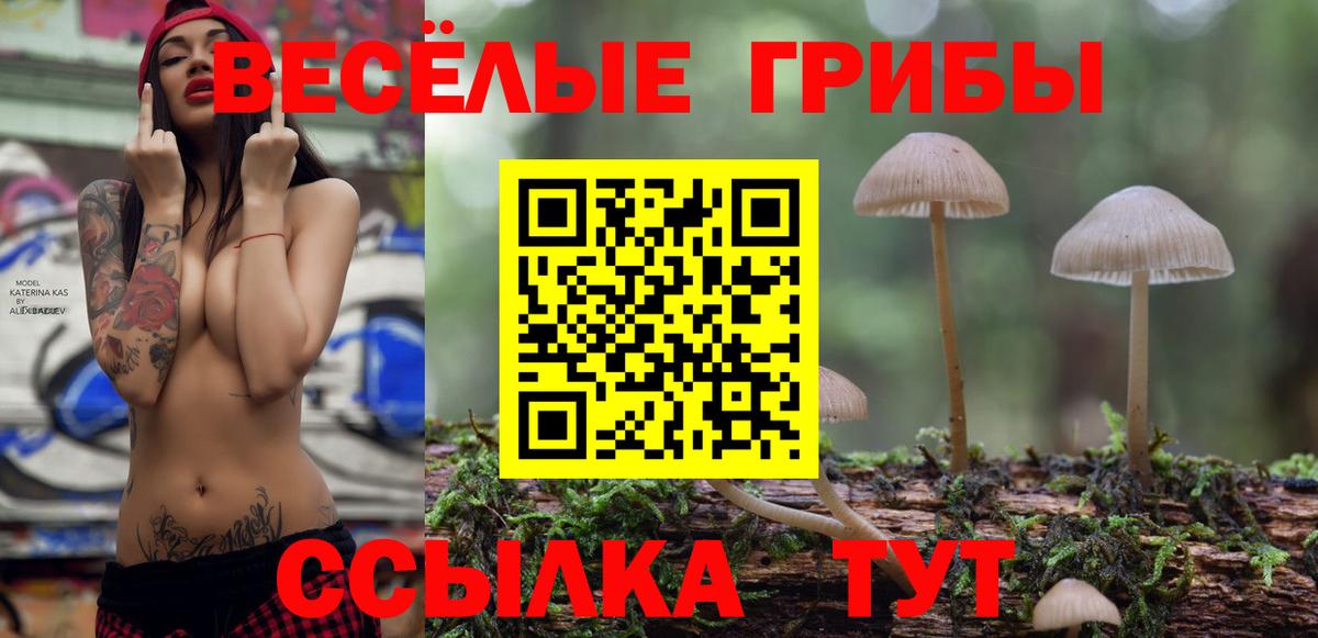 Псилоцибиновые грибы Psilocybine cubensis  Вход с VPN  Каспийск  Псилоцибиновые грибы мицелий 