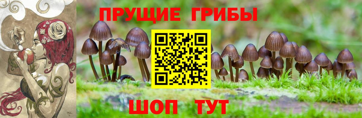 Галлюциногенные грибы GOLDEN TEACHER Каспийск